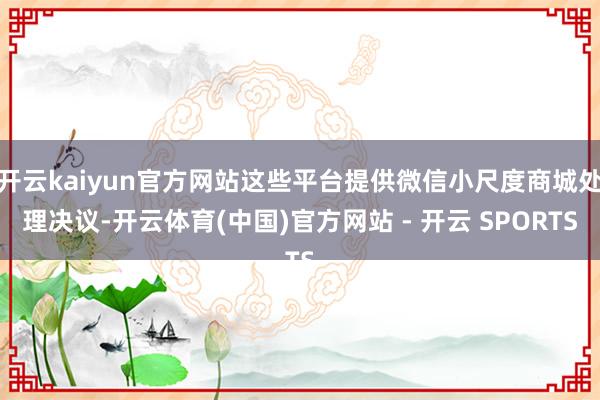 开云kaiyun官方网站这些平台提供微信小尺度商城处理决议-开云体育(中国)官方网站 - 开云 SPORTS