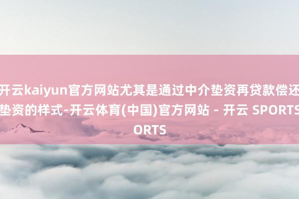 开云kaiyun官方网站尤其是通过中介垫资再贷款偿还垫资的样式-开云体育(中国)官方网站 - 开云 SPORTS