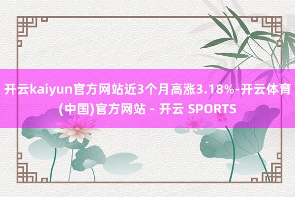 开云kaiyun官方网站近3个月高涨3.18%-开云体育(中国)官方网站 - 开云 SPORTS