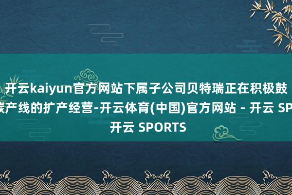 开云kaiyun官方网站下属子公司贝特瑞正在积极鼓舞硅碳产线的扩产经营-开云体育(中国)官方网站 - 开云 SPORTS