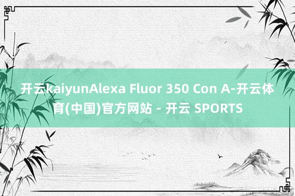 开云kaiyunAlexa Fluor 350 Con A-开云体育(中国)官方网站 - 开云 SPORTS