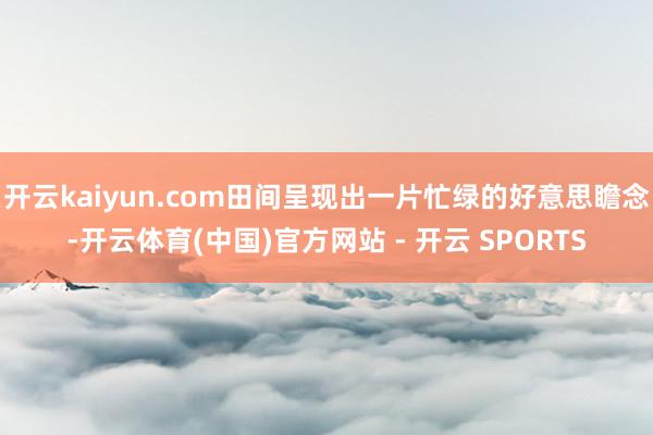 开云kaiyun.com田间呈现出一片忙绿的好意思瞻念-开云体育(中国)官方网站 - 开云 SPORTS