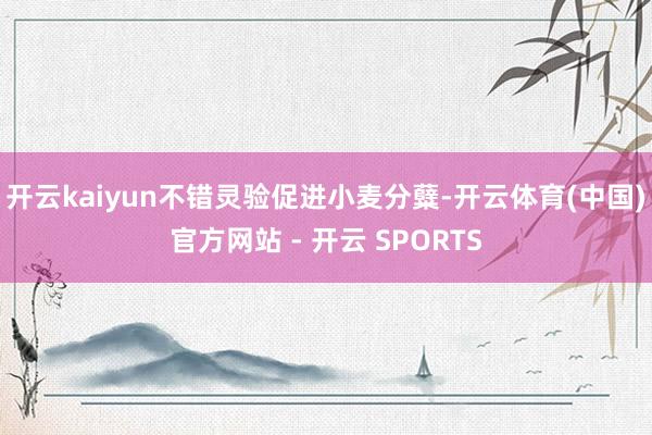 开云kaiyun不错灵验促进小麦分糵-开云体育(中国)官方网站 - 开云 SPORTS