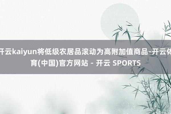 开云kaiyun将低级农居品滚动为高附加值商品-开云体育(中国)官方网站 - 开云 SPORTS