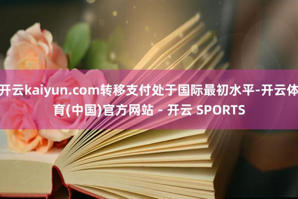 开云kaiyun.com转移支付处于国际最初水平-开云体育(中国)官方网站 - 开云 SPORTS