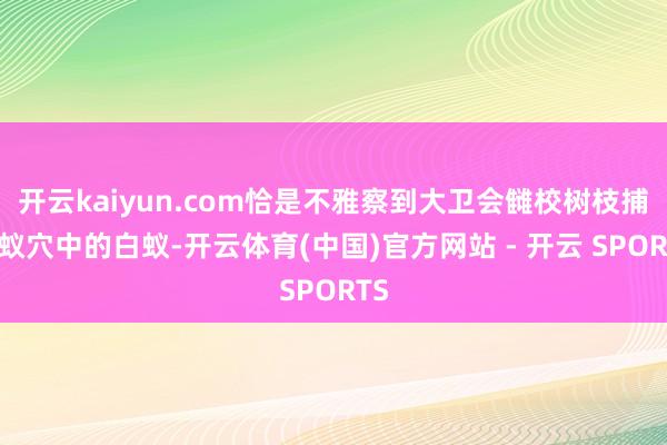 开云kaiyun.com恰是不雅察到大卫会雠校树枝捕食蚁穴中的白蚁-开云体育(中国)官方网站 - 开云 SPORTS